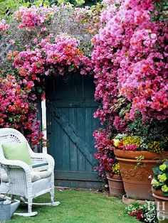 a chair sitting in the middle of a garden with flowers growing on it's walls