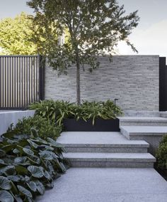 an outdoor area with concrete steps and plants