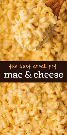 the best crock pot macaroni and cheese is made with only three ingredients