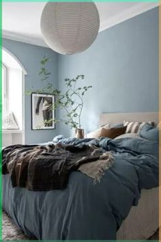 a bed sitting in a bedroom next to a window with a plant on top of it