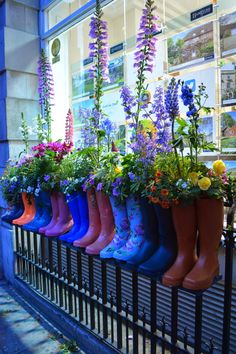 colorful rain boots are lined up in front of a window with flowers growing out of them