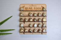 there are many quail eggs on the shelf