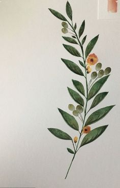 a watercolor painting of a plant with yellow flowers and green leaves on white paper