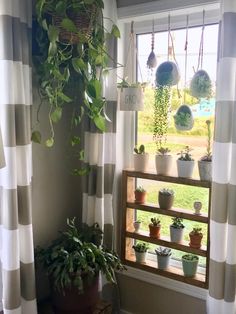 a window with potted plants in it next to a striped curtained window sill