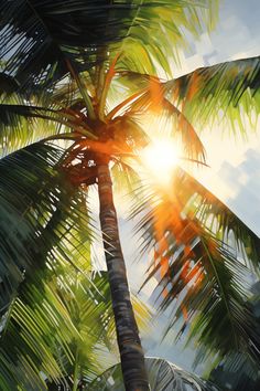 a palm tree with the sun shining through it