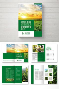 the brochure is designed to look like an open book with green pages and pictures on it