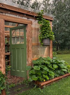 a garden shed with green plants growing out of it