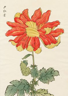 a drawing of a red flower with green leaves