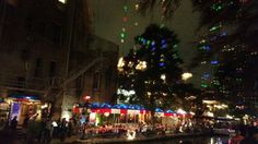 people are standing on the side of a river at night with christmas lights in the background