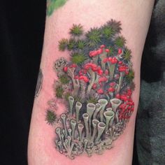 a tattoo with red berries on it and green plants in the background, along with other tattoos