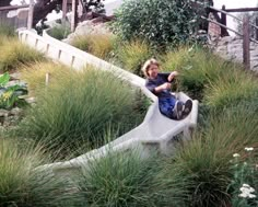 a young boy sitting on top of a slide in the middle of some tall grass