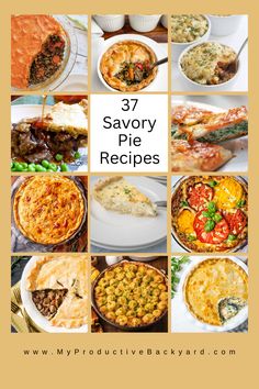 many different types of pies with the words 37 savory pie recipes on them