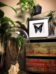 a green butterfly sitting on top of a glass vase next to a wooden box filled with plants