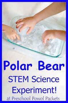 Polar Bear Science, Experiment Preschool, Polar Bear Unit, Polar Bears Activities, Stem Preschool, Preschool Stem, Winter Preschool