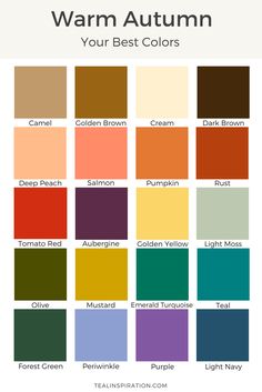 the color chart for deep autumn, which is also available in different colors and sizes