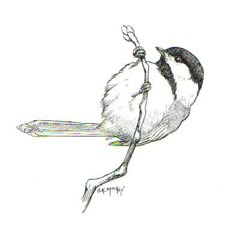 a drawing of a bird sitting on a branch