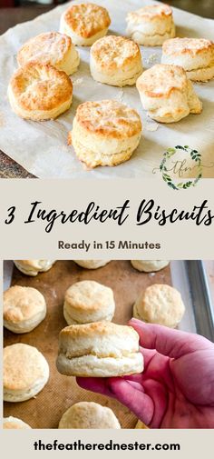 3 ingredient biscuits ready in 15 minutes