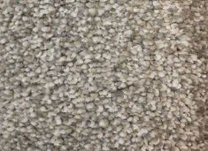 Best Carpet Colors: Abbey by Home Decorators Collection Grey Beige Carpet, What Color Carpet Goes With Gray Walls, Carpet Colors With Gray Walls, Wall To Wall Carpet Ideas, Carpeting Ideas, Best Floor Cleaner, Home Depot Flooring