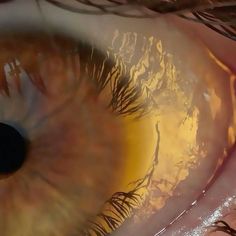 an extreme close up shot of the iris of a human eye