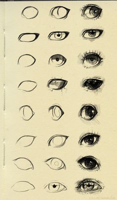 an old book with many different types of eyes and their features are shown in black ink