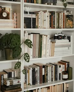 a bookshelf filled with lots of books next to a potted green plant