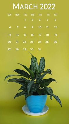 March iPhone wallpaper 2022 Calendar backgrounds Download in HD high-quality to set on phone August Iphone Wallpaper, Iphone Wallpaper 2023, Iphone Calendar, Welcome Background, Calendar Images, Wallpaper 2022, Calendar Background, Wallpaper 2023