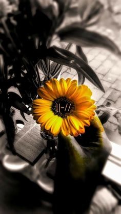 a yellow flower sitting on top of a wooden table