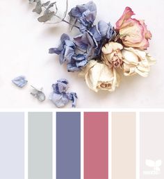 a bunch of flowers sitting next to each other on a white surface with color swatches