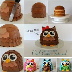 an owl cake is decorated with chocolate icing