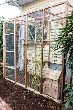 a bird cage with some plants in it next to a tree and fenced area