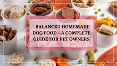 a table topped with lots of different types of food and words that read balanced homemade dog food - a complete guide for pet owners