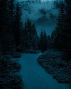 a river running through a lush green forest under a snow covered mountain range at night