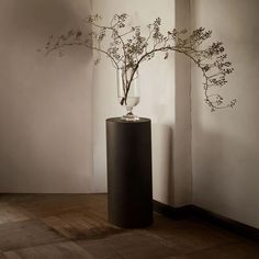 a vase with flowers in it sitting on a table next to a wall and floor