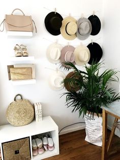 hats and purses are hanging on the wall next to a potted palm tree