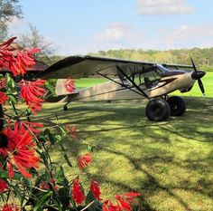 an airplane is parked on the grass near some red flowers in front of a field