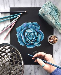 a person is drawing a blue rose on a piece of paper with colored pencils