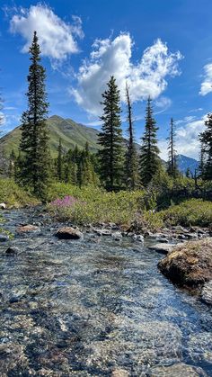 a river running through a forest filled with lots of rocks and trees under a blue sky