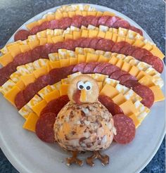 a turkey and cheese platter on a plate