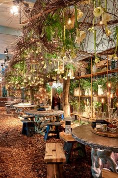 a restaurant with tables, benches and plants hanging from the ceiling