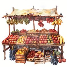 a watercolor painting of fruit stand with bananas, apples, oranges and plums