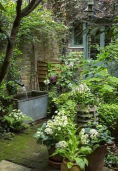 a garden filled with lots of different types of plants and flowers next to a building