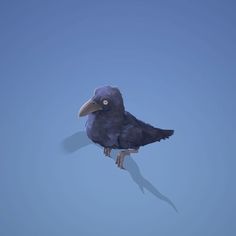 a black bird sitting on top of a tree branch in the blue sky with its shadow