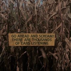 a sign that is in the middle of a corn field saying go ahead and scream there are thousands of ears listening