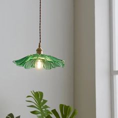 a green light hanging from a ceiling in a room with plants and potted plants