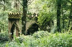 an old bridge surrounded by trees and bushes