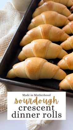 A baking sheet lined with sourdough crescent dinner rolls, fresh from the oven. Fall Sourdough, Crescent Dinner Rolls, Roll Dough Recipe, Homemade Crescent Rolls