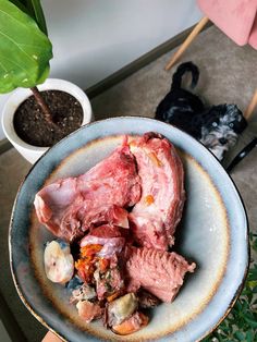 a bowl filled with raw meat next to a potted plant