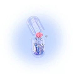 a pink rose in a clear glass container with blue and silver objects around it on a white background