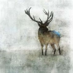 Silent Stag Poster Print by Ken Roko-VARPDX476ROK1124 Image 1 Shop Artwork, Deer Print, Traditional Paintings, Frames For Canvas Paintings, Affordable Wall Art, Fine Arts Posters, Animal Wall Art, Affordable Art, Animal Paintings