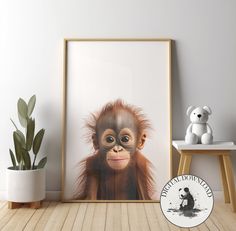 a framed photograph of a baby oranguel hangs on the wall next to a teddy bear